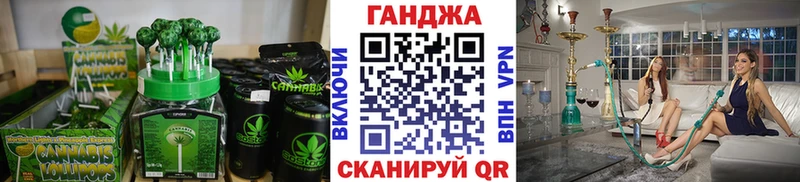 продажа наркотиков  Шатура  блэк спрут ССЫЛКА  Cannafood конопля 