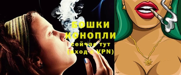 хмурый Мегион