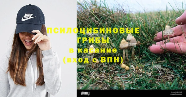 хмурый Мегион