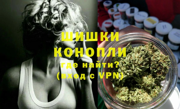 хмурый Мегион