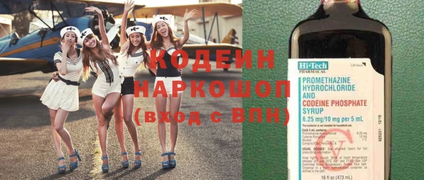 хмурый Мегион