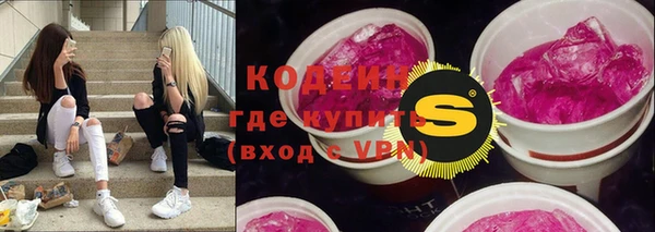 хмурый Мегион