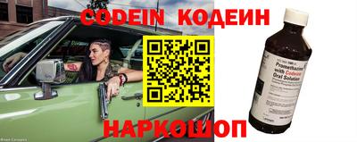 стаф Кингисепп