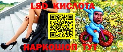 стаф Кингисепп