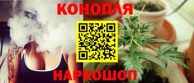 стаф Кингисепп