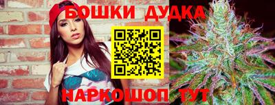 стаф Кингисепп