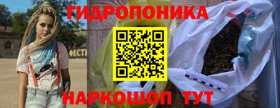 стаф Кингисепп