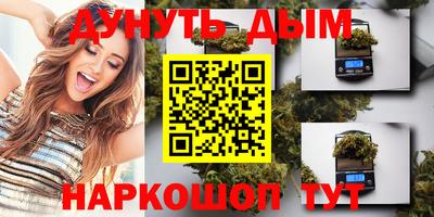 стаф Кингисепп