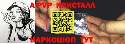 стаф Кингисепп