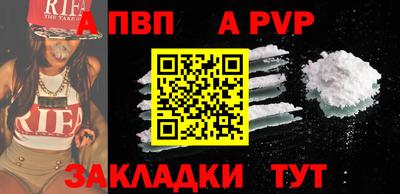 стаф Кингисепп
