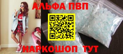 стаф Кингисепп