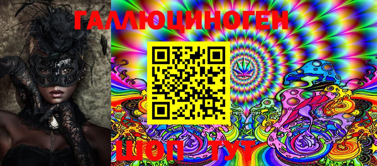 Галлюциногенные грибы Psilocybine cubensis  Шатура 