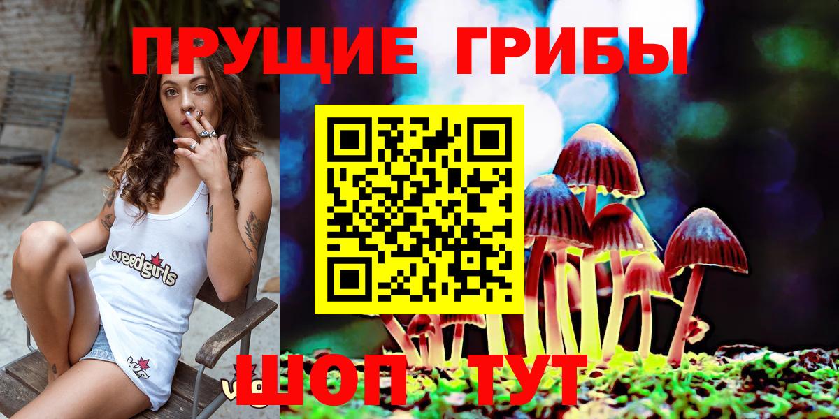 Псилоцибиновые грибы Magic Shrooms  Вход с VPN  Псилоцибиновые грибы мицелий  Шатура 